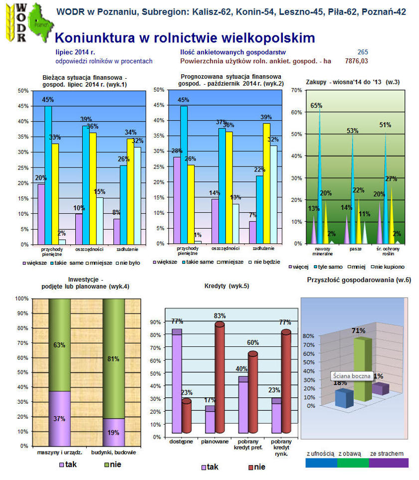 2_koniunktura-wlkp_lipiec-2014