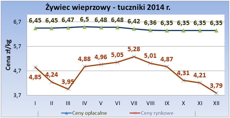 grudzien-2014_tuczniki