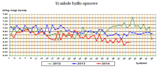 mlode-bydlo-opasowe_2012-2014