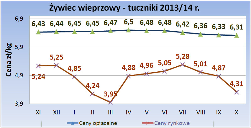 pazdziernik-2014_tuczniki