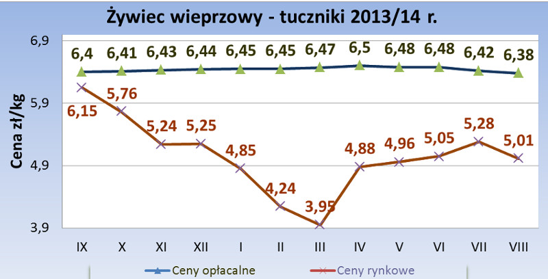 sierpien-2014_tuczniki