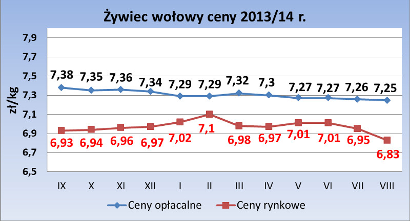 sierpien-2014_zywiec-wolowy