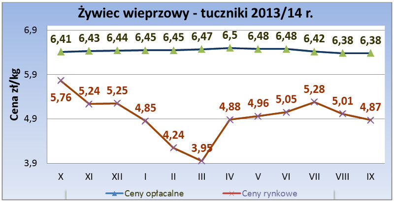 wrzesien-2014_tuczniki