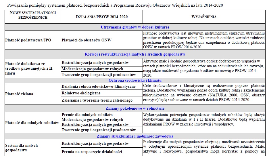 arimrNowy_obraz1