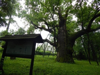 dscn0697
