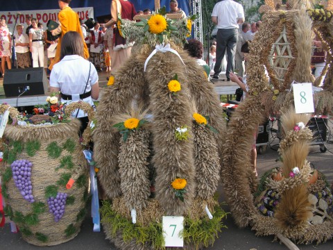 PICT0021