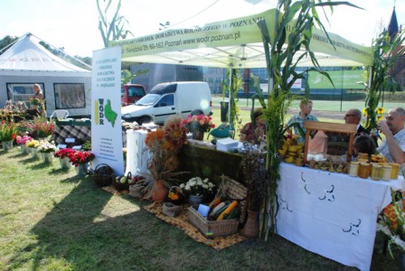 doynki_2013_4