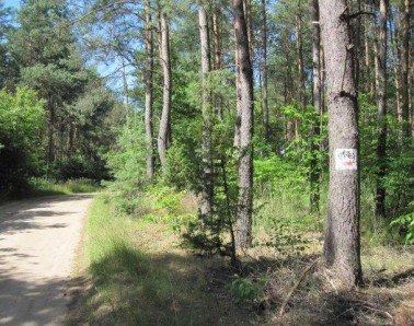 ściżeka rowerowa czerwona
