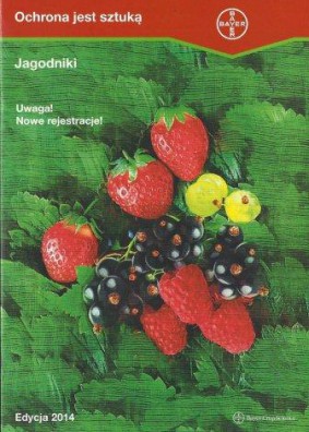 jagodowe_03