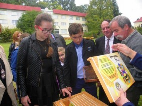 pokazowy_ul_oblegany
