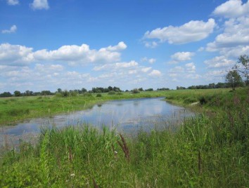 naturalne oczka wodne
