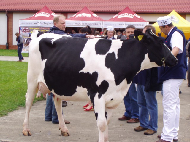 zd_10