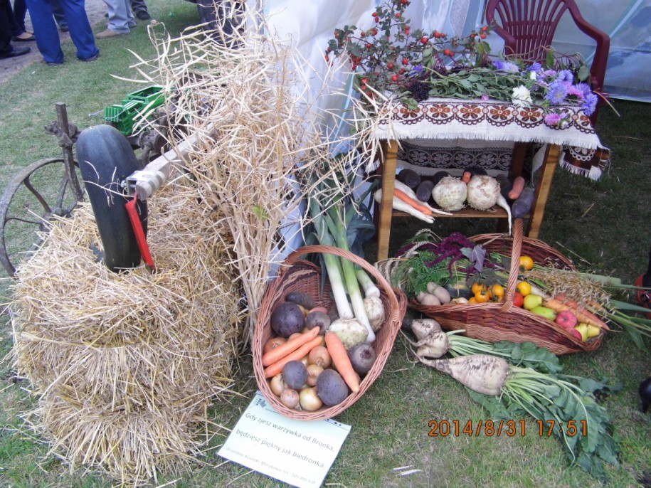 doynkiGoa2014_04
