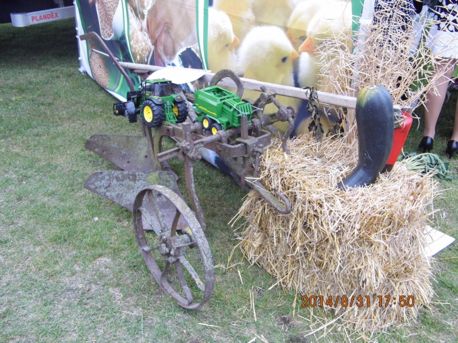 doynkiGoa2014_05