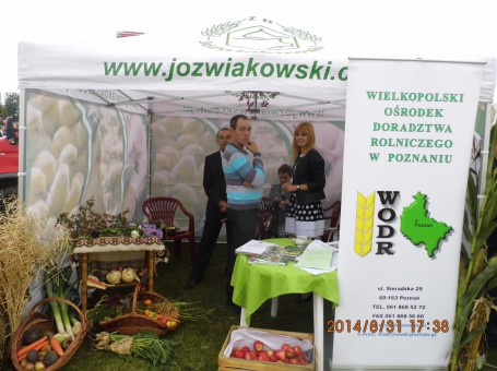 doynkiGoa2014_08