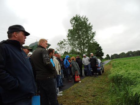 dzien_pola_2014