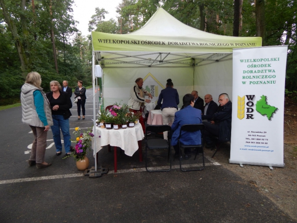 Piknik Dożynkowy w Przedborowie