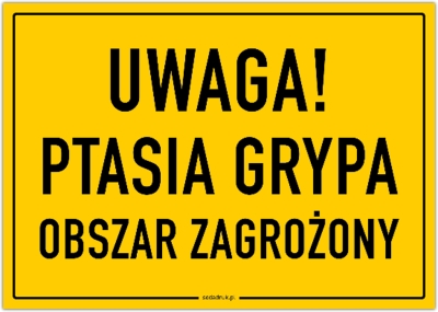 Ptasia grypa w gminie Czempiń