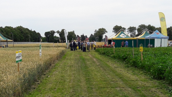 Przedżniwna ocena odmian zbóż, rzepaku oraz roślin bobowatych w Sielinku