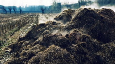 Terminy dotyczące nawożenia nawozami naturalnymi