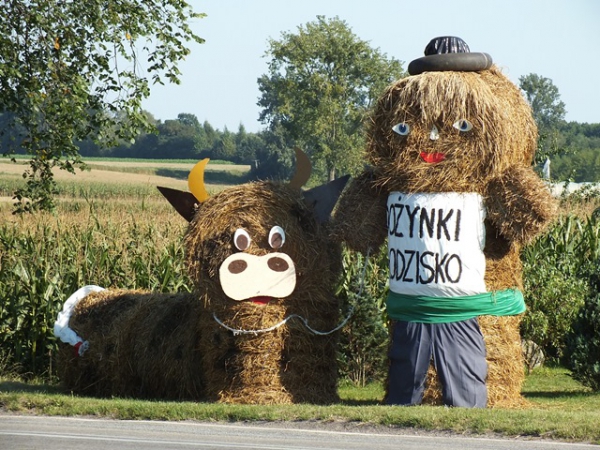 Dożynki Wiejski Kłodzisko 2016 r