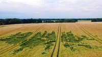 Są zmiany w ustawie o prawie łowieckim