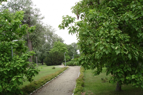 Park w otoczeniu budynku administracyjnego Powiatowego Zespołu Doradztwa Rolniczego w powiecie rawickim