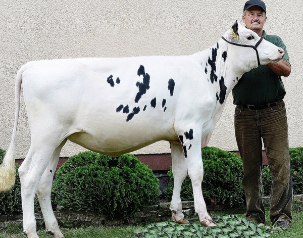 Wyróżniona w konkursie