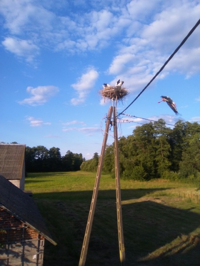 Ekstensywne gospodarowanie na użytkach zielonych