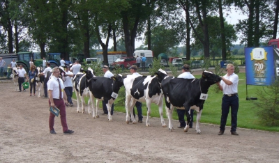 Wystawa zwierząt hodowlanych w Pudliszkach