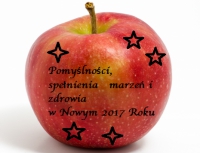 Podsumowanie działalności LGD – sadowniczej