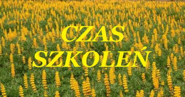 Czas szkoleń