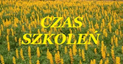 Czas szkoleń