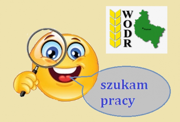 Szukam pracy  ... enter