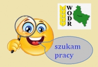 Szukam pracy  ... enter