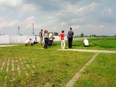 Podsumowanie działalności Lokalnej Grupy Dyskusyjnej w powiecie konińskim