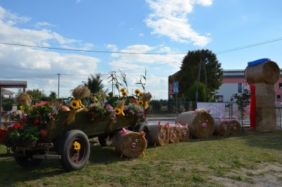 Dożynki powiatowo-gminne Kiszkowo 2015