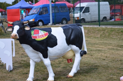 Trzecie Wielkopolskie Święto Mleka 2015.