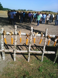 Podsumowanie demonstracji „Agrotechnika roślin uprawnych z listy zalecanych odmian”.